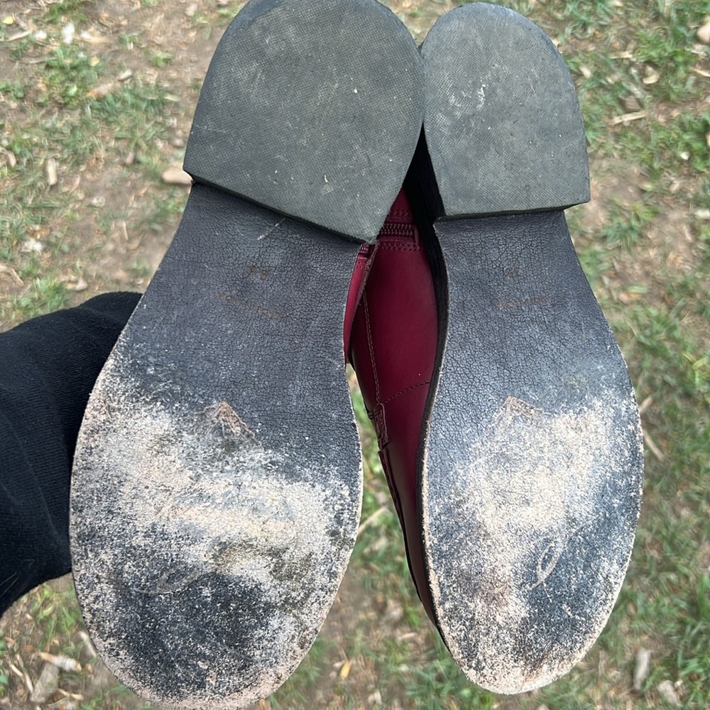 Free people leather Burgundy Buckle Ankle Boots - Picture 7 of 8